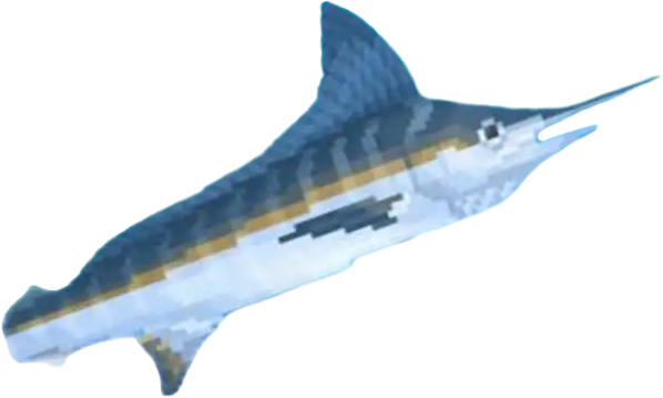 a picture of a Marlin