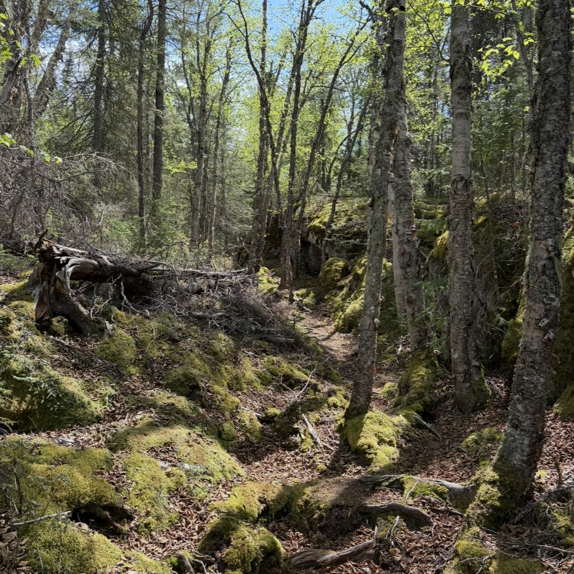 Photo 4 from Neys Camping Trip