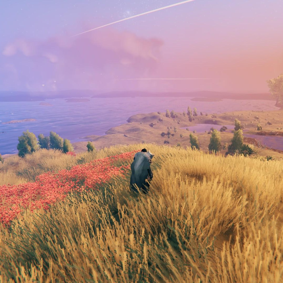Biome Image Card - PLAINS