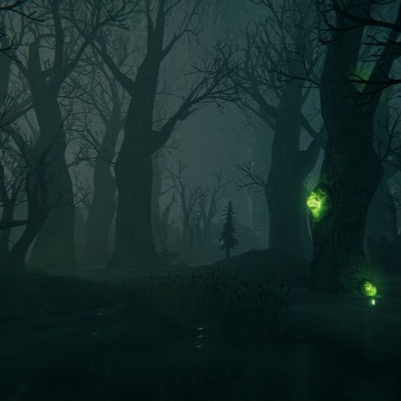 Biome Image Card - SWAMP